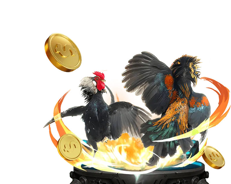 Hướng dẫn chơi đá gà tại 777x